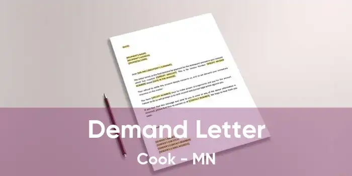 Demand Letter Cook - MN