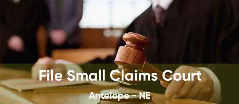  File Small Claims Court Antelope - NE