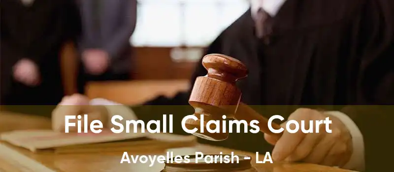 File Small Claims Court Avoyelles Parish - LA