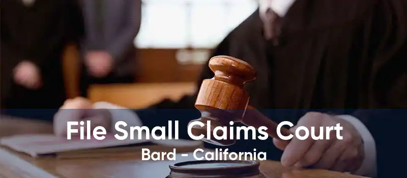File Small Claims Court Bard - California