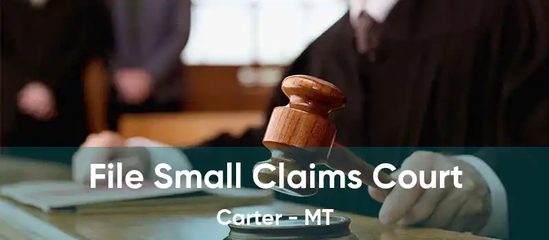 File Small Claims Court Carter - MT