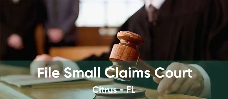 File Small Claims Court Citrus - FL