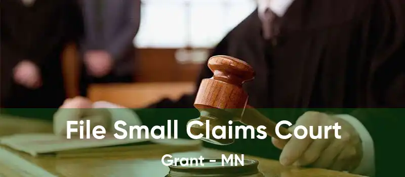 File Small Claims Court Grant - MN