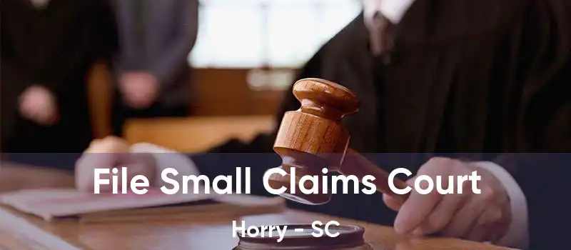 File Small Claims Court Horry - SC