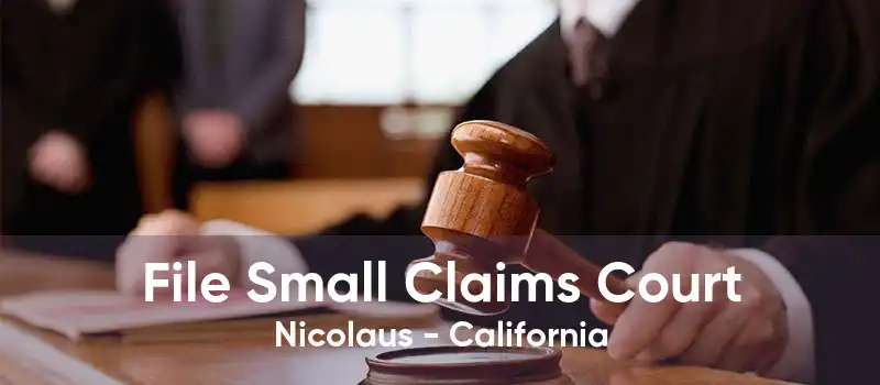 File Small Claims Court Nicolaus - California