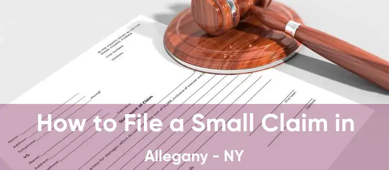 How to File a Small Claim in Allegany - NY