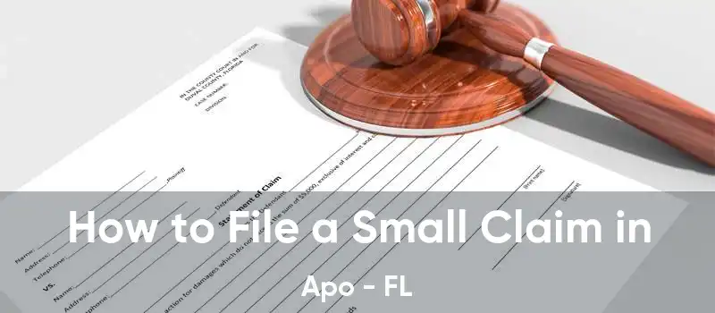 How to File a Small Claim in Apo - FL