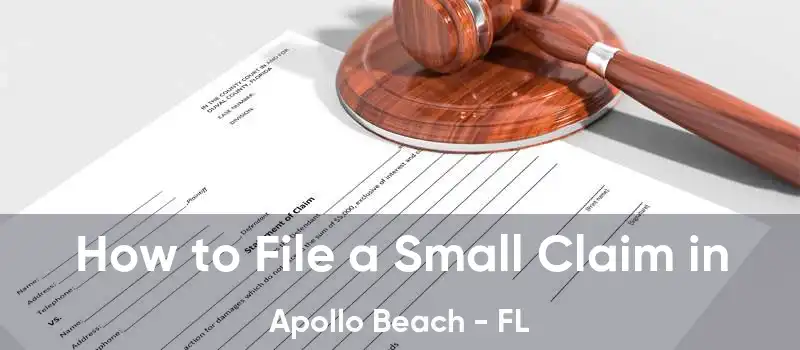 How to File a Small Claim in Apollo Beach - FL