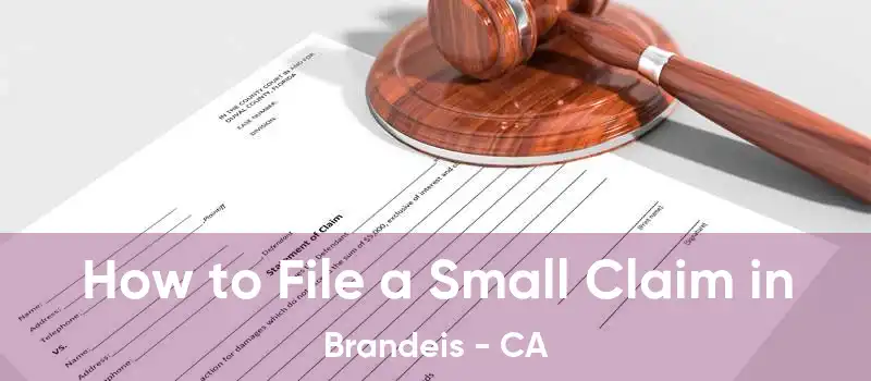 How to File a Small Claim in Brandeis - CA