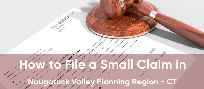 How to File a Small Claim in Naugatuck Valley Planning Region - CT