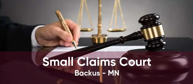 Small Claims Court Backus - MN