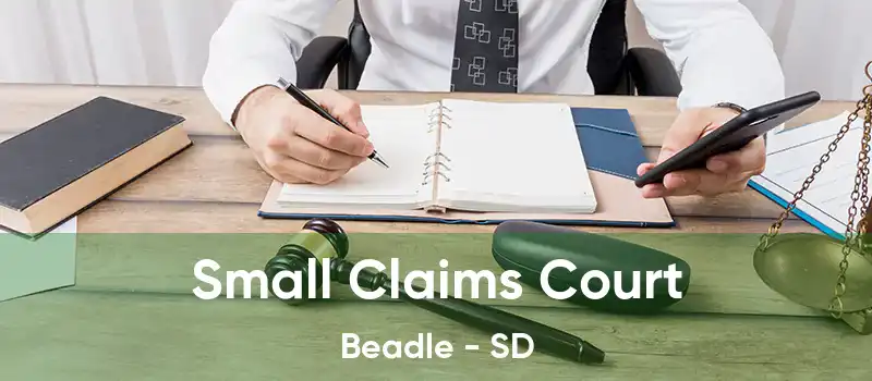 Small Claims Court Beadle - SD