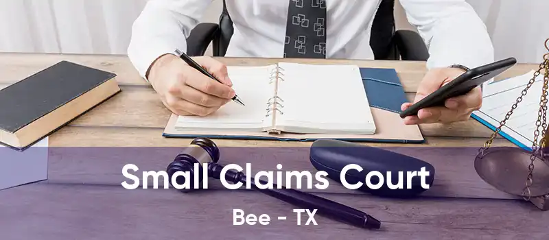 Small Claims Court Bee - TX