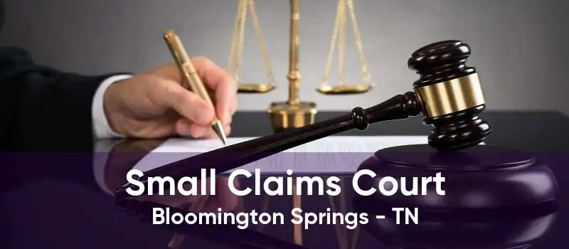 Small Claims Court Bloomington Springs - TN