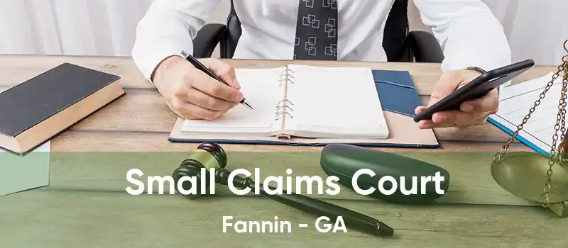 Small Claims Court Fannin - GA