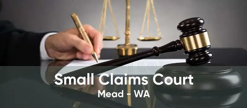 Small Claims Court Mead - WA