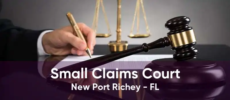 Small Claims Court New Port Richey - FL