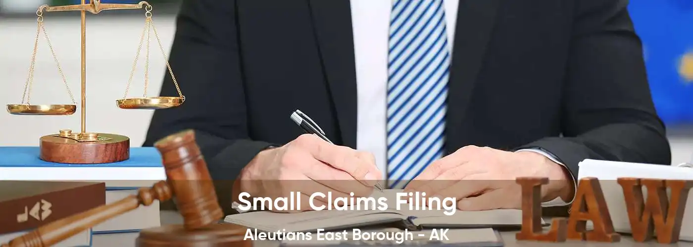 Small Claims Filing Aleutians East Borough - AK