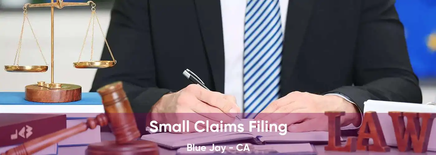 Small Claims Filing Blue Jay - CA