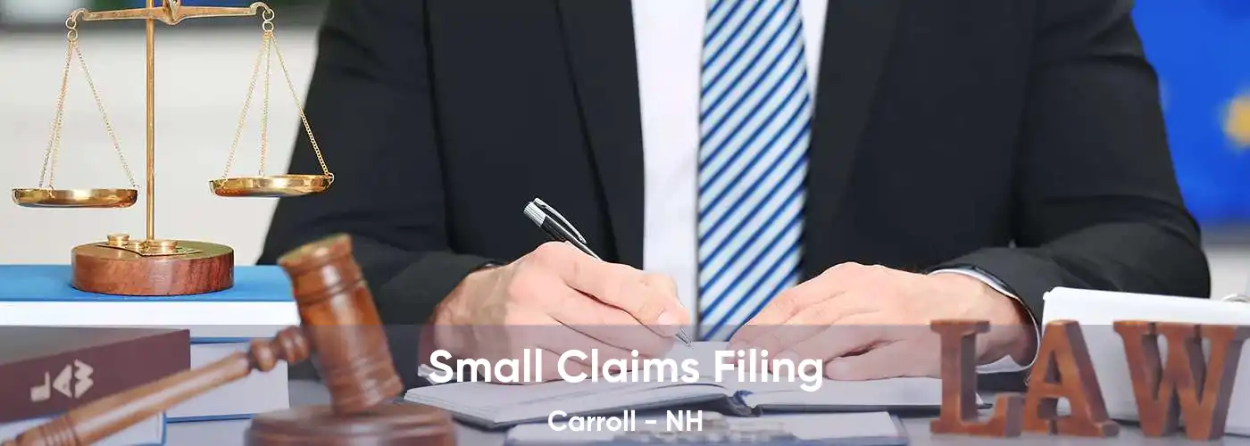 Small Claims Filing Carroll - NH