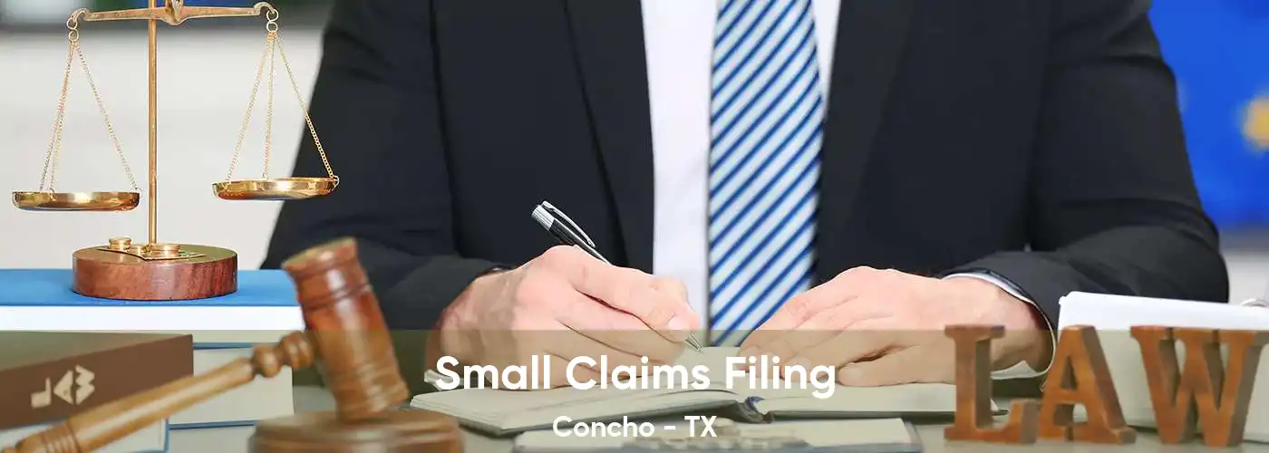 Small Claims Filing Concho - TX