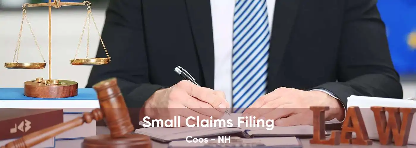 Small Claims Filing Coos - NH