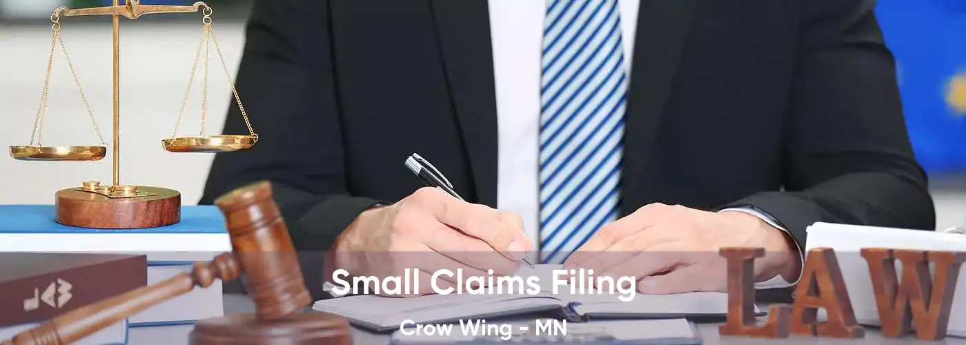 Small Claims Filing Crow Wing - MN