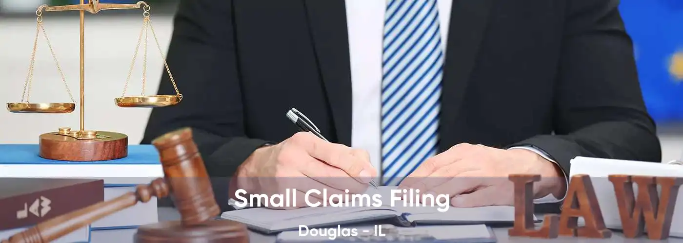 Small Claims Filing Douglas - IL