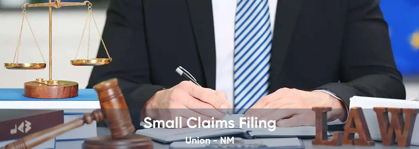 Small Claims Filing Union - NM